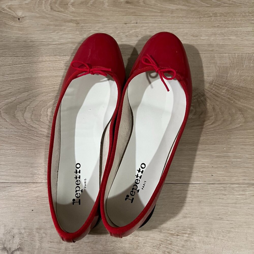 Repetto Cendrillon ballet flats